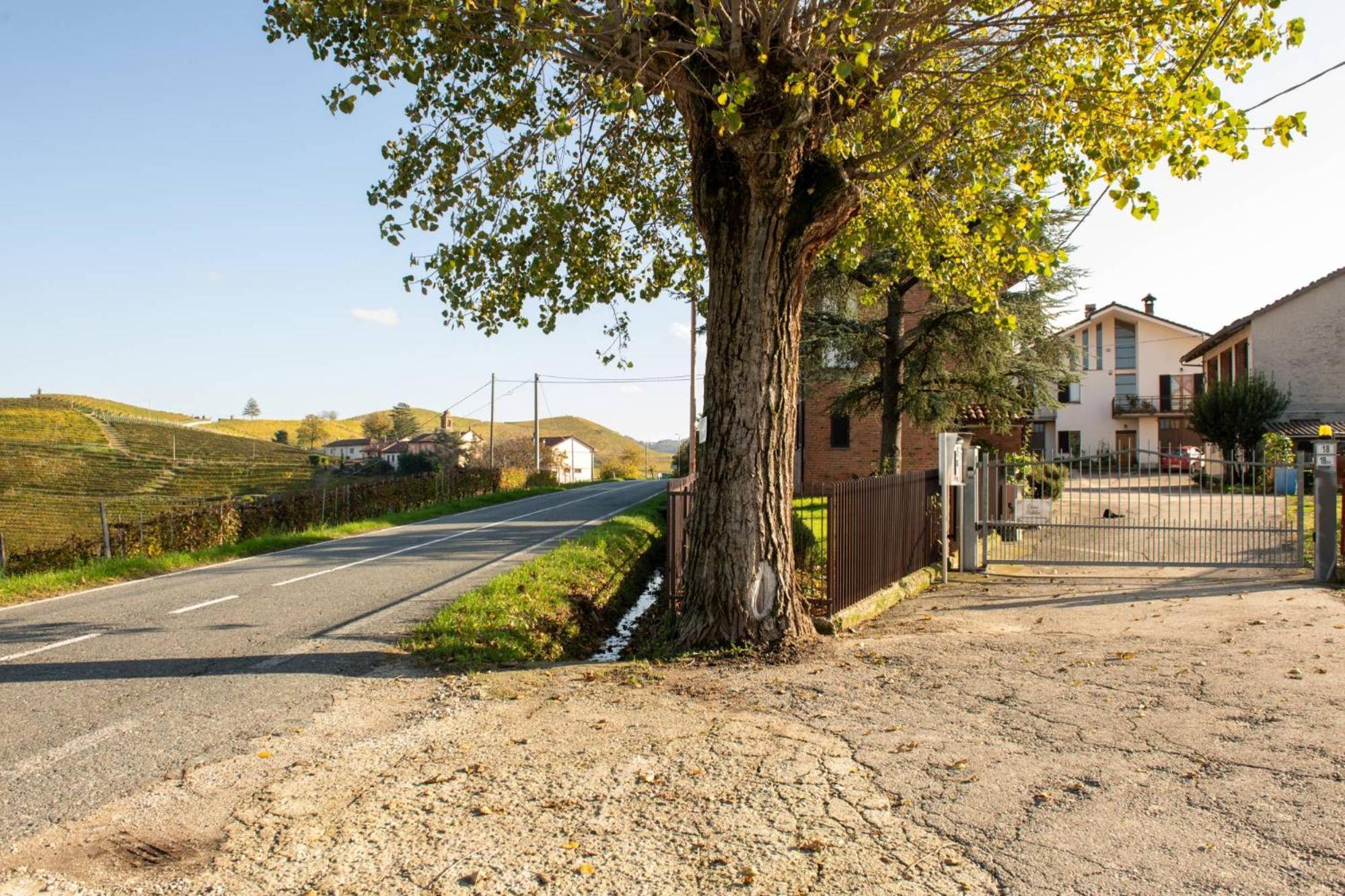Casa Rubbo - Appartamento In Collina 'Monviso' Алба Екстериор снимка